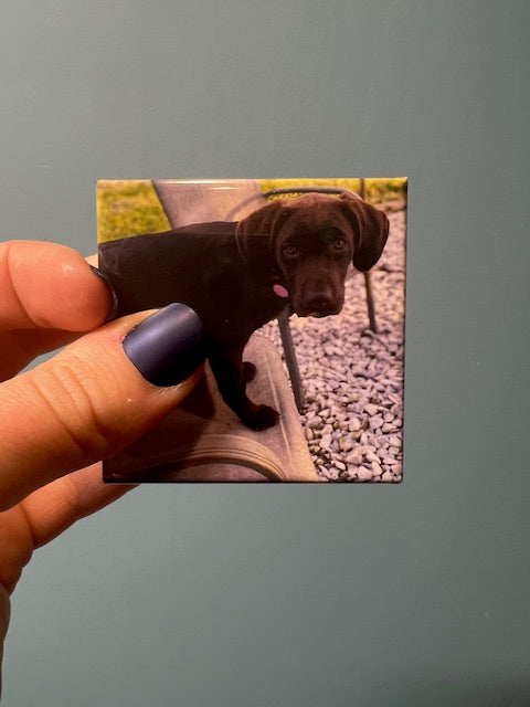 Set of 9 Custom Magnets